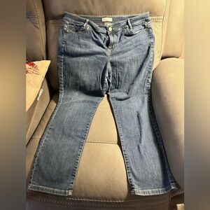 J Jill Weekender Women's Straight Leg Blue Jeans 16 petite